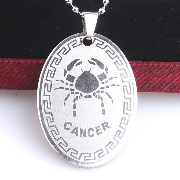 Stainless Steel Pendant Twelve Astrology Zodiac Sign Necklace 22" B170