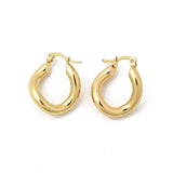 Stainless Steel Oval Polished Shiny Round Hinged Closure Hoop Earrings Gold 0.94 in E115 product image 4