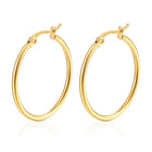 Stainless Steel Smooth Shiny Hinged Closure Hoop Earrings Silver Gold 0.79 in E160