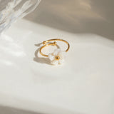 18K Gold-Plated Stainless Steel Shell Flower Wide Ocean Open Band Ring 12mm R169 product image 1