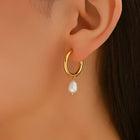 Stainless Steel Pearl Teardrop Freshwater Shiny Hoop Earrings White Gold 1.18 in E171 product image 2