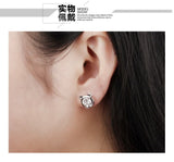 White Gold Plated Earring  Round AAA Cubic Zirconia Women's G248