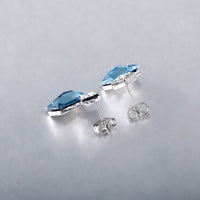 Platinum Plated Earrings  Stud AAA Zirconia Blue Push Back Clasp L681