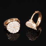 Gold Plated Earring  Round AAA Cubic Zirconia Women's G260