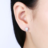 Sterling Silver Plated  Earrings  Stud AAA Zirconia  Push Back Clasp L804