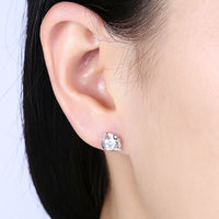 Sterling Silver Earrings  Stud AAA Zirconia  Push Back Clasp L738