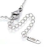 Stainless Steel Pendant Necklaces Lobster Feather Silver 16.5'' 42cm Z570