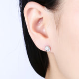 Sterling Silver Plated  Earrings  Stud AAA Zirconia  Push Back Clasp L815