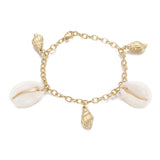 Stainless Steel Charm Bracelet Cowrie Shell Conch Gold 7.7" Z67