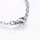 Stainless Steel Charm Bracelet Lobster Star Gold Silver 7.8" 2.5mm Z57