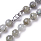 Labradorite Necklace Stainless Steel Lobster Clasp 18.6" 47.3cm 8~8.5mm Z489