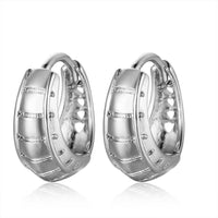 Platinum Silver Hoop Earrings Platinum 13.5x14x6.5mm 1mm P181