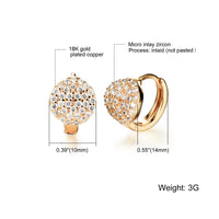 Gold Plated Earring  Round AAA Cubic Zirconia Women's G260