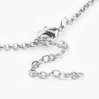 Stainless Steel Pendant Necklaces Pendant Lobster Clasps Whale Tail 21.6" P370