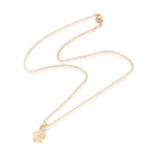 Stainless Steel Pendant Necklace Zirconia Chain Lobster Star Gold 17.5" A222