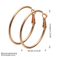 Rose Gold Latch Back Hoop Bali Earrings L121