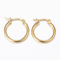 Stainless Steel Hoop Earrings Hypoallergenic Earrings 12 20x19x2mm 2Pairs Z293