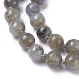 Labradorite Necklace Stainless Steel Lobster Clasp 18.6" 47.3cm 8~8.5mm Z489