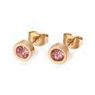 Stainless Steel Ear Studs Rhinestone Flat Round Mixed Color Gold 14mm 6Pair Z389
