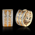 Yellow Gold Platinum Plated Earrings Hoop Huggies Zirconia Latch Back Clasp L548