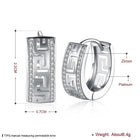 Platinum Plated Earrings Hoop Huggies AAA Zirconia Latch Back Clasp L544