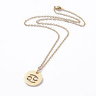 Stainless Steel Pendant Necklace Lobster Zodiac Sign Gold Silver 17.7" 2mm Z447