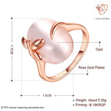 Rose Gold Platinum Plated Fashion Ring For Women B288