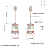 Rose Gold Plated Earrings Drop Dangle AAA Zirconia Push Back .56" L266